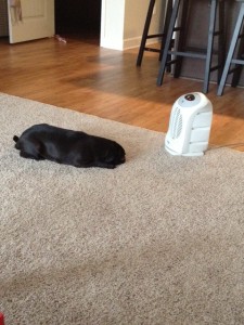 penny and the heater